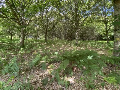Cussac 06 2026 (43)