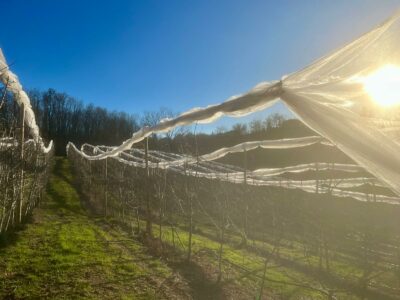 Seyssuel-Chateau-des-évêques1