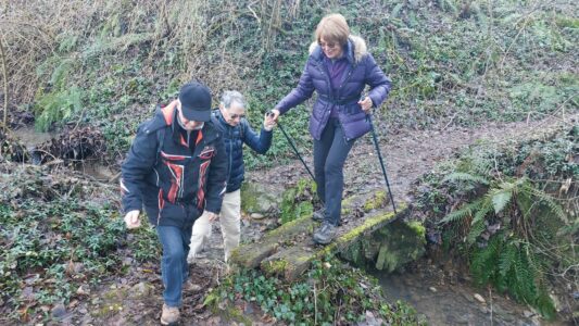 Seyssuel-Chateau-des-évêques4