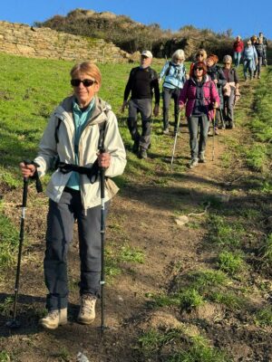 Seyssuel-Chateau-des-évêques8