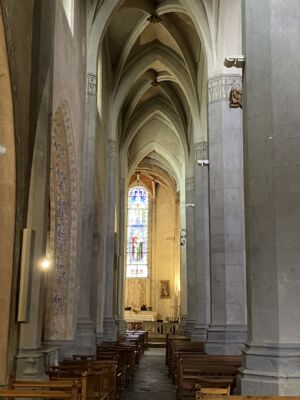 St Galmier 21 11 2024 (13)