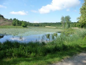 Etang du bas