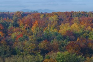 Merveilleuses couleurs d'automne
