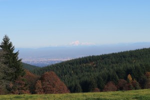 Mont Blanc en fond de paysage