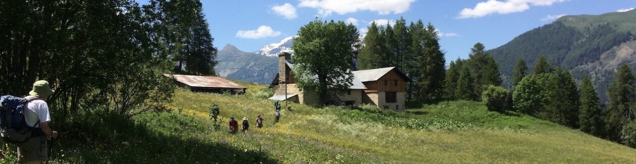 Les Mollets Aiguisés